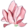 cropped logo png