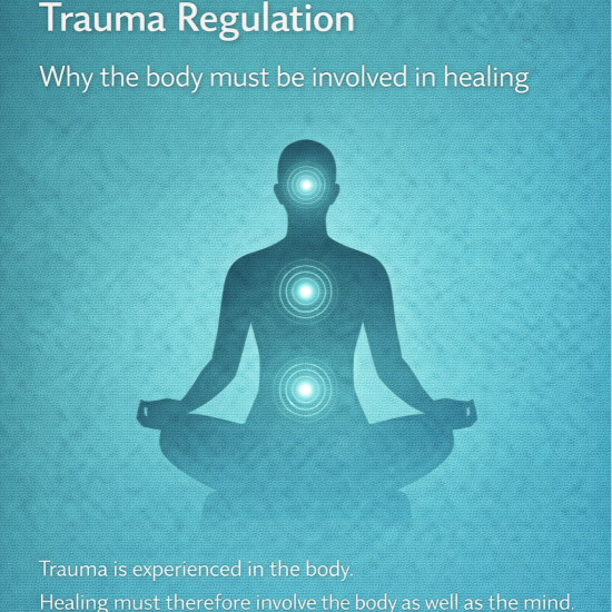 Graphic titled ‘Somatic Tools for Trauma Regulation,’ showing a seated meditating silhouette with glowing points along the head, chest, and abdomen, symbolizing body-based healing and nervous system regulation.